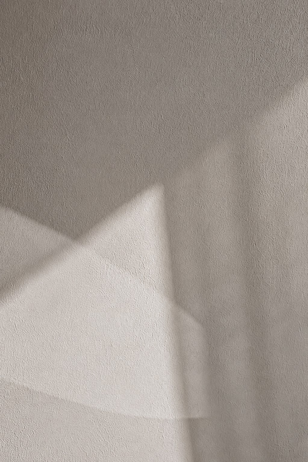 Neutral textured wall with soft shadows, a clean minimalist backdrop for high-end brand design